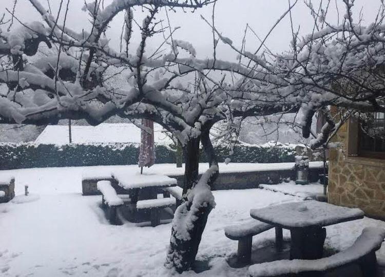 Hotel Restaurante La Carasca Orlé Екстериор снимка